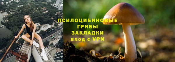дмт Алексин