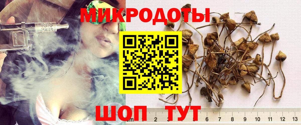 Псилоцибиновые грибы мухоморы  Вход с VPN  Петровск 